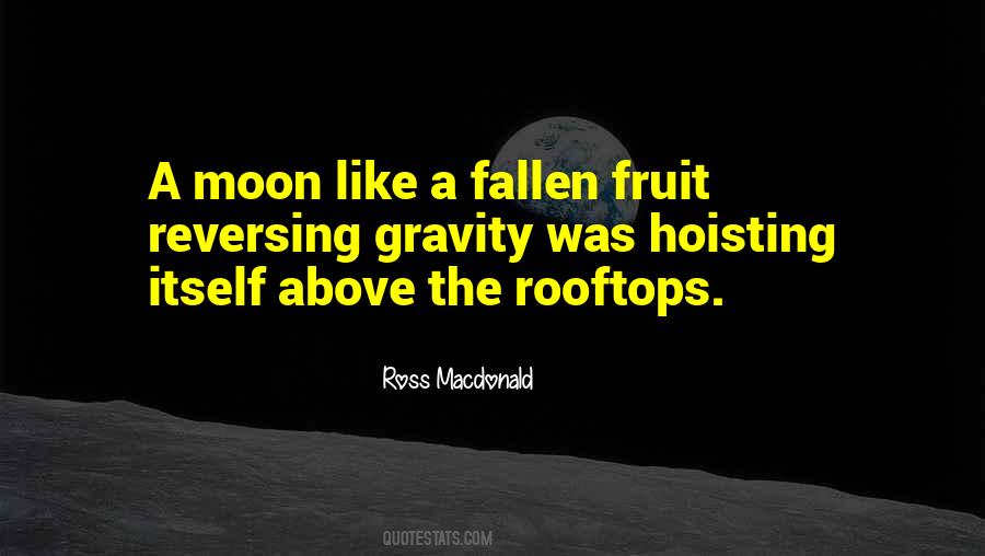 Ross Macdonald Quotes #1229539
