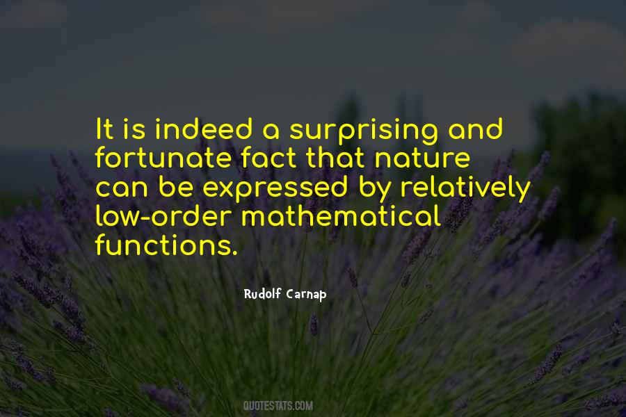 Rudolf Carnap Quotes #885620