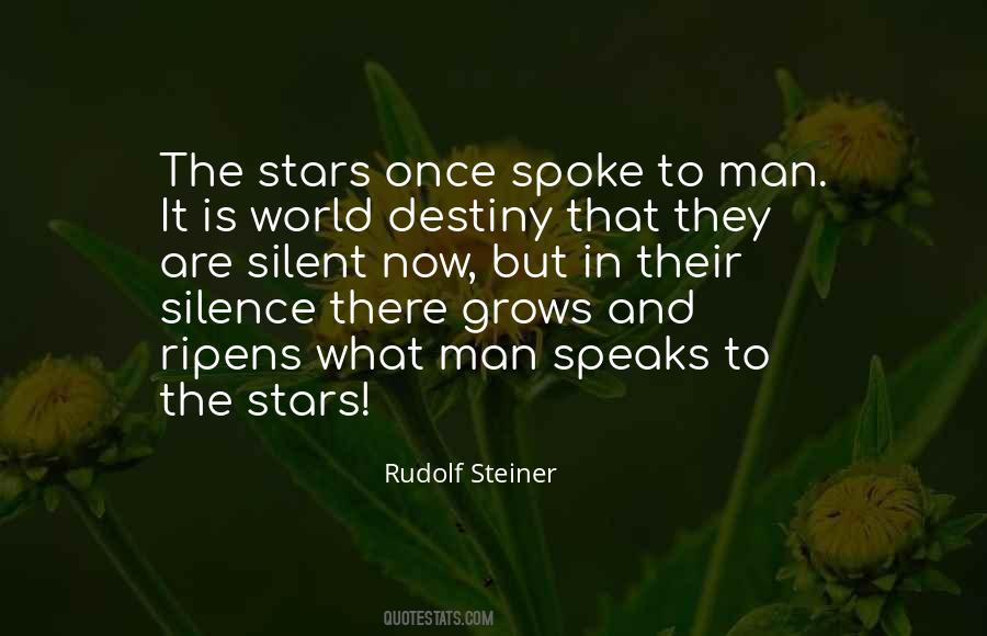 Rudolf Steiner Quotes #585348