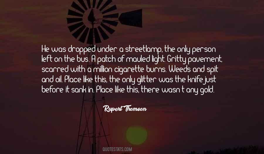 Rupert Thomson Quotes #711511