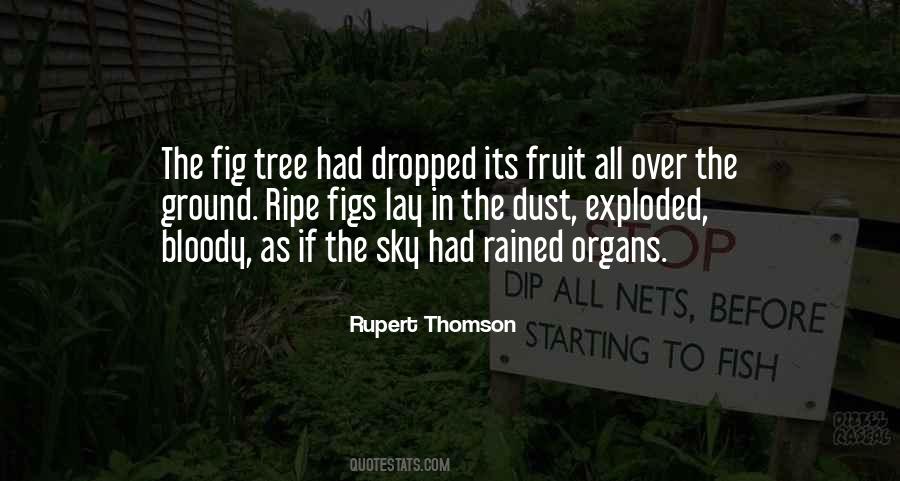 Rupert Thomson Quotes #93171