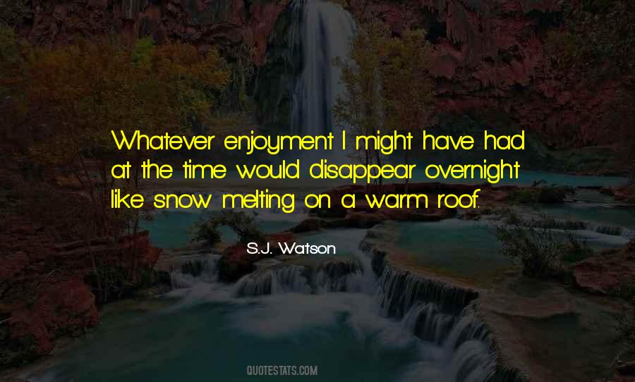 S.j. Watson Quotes #1462392