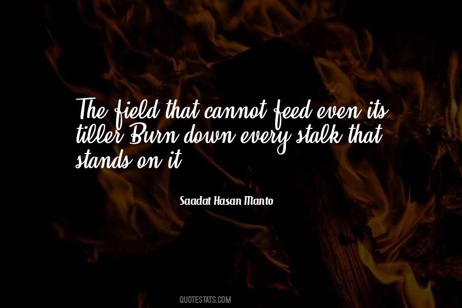 Saadat Hasan Manto Quotes #1717210