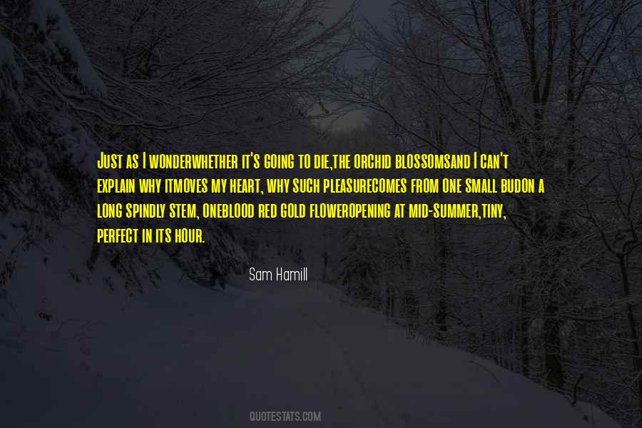 Sam Hamill Quotes #911301