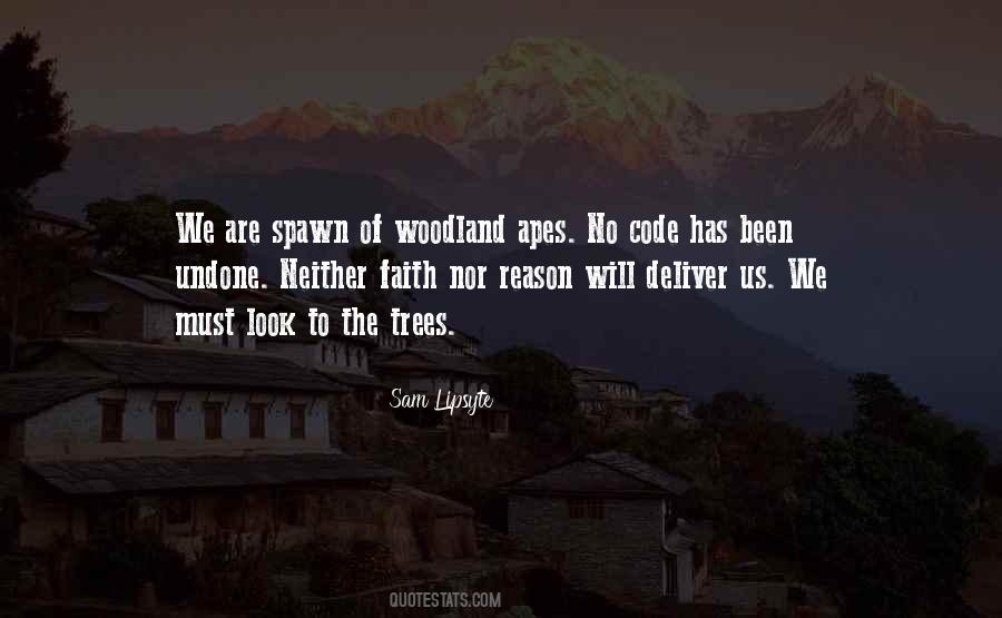 Sam Lipsyte Quotes #1373410