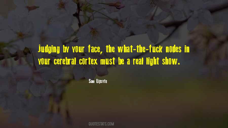 Sam Lipsyte Quotes #721409