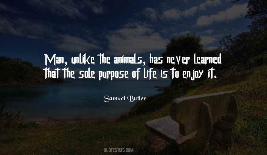 Samuel Butler Quotes #572289