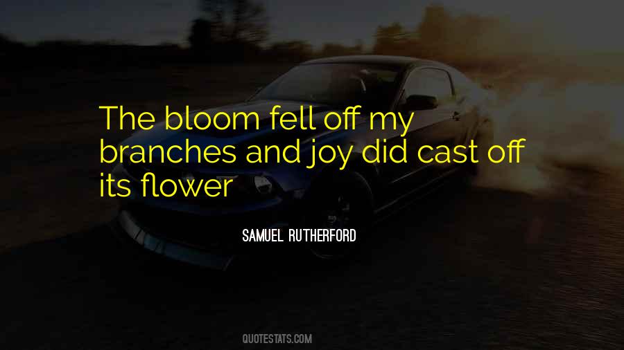 Samuel Rutherford Quotes #993805