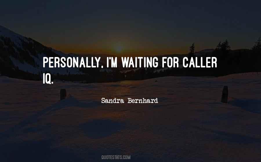 Sandra Bernhard Quotes #396725