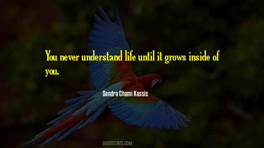 Sandra Chami Kassis Quotes #674783