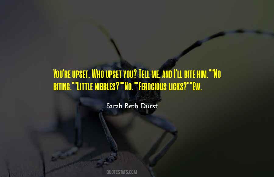 Sarah Beth Durst Quotes #618304