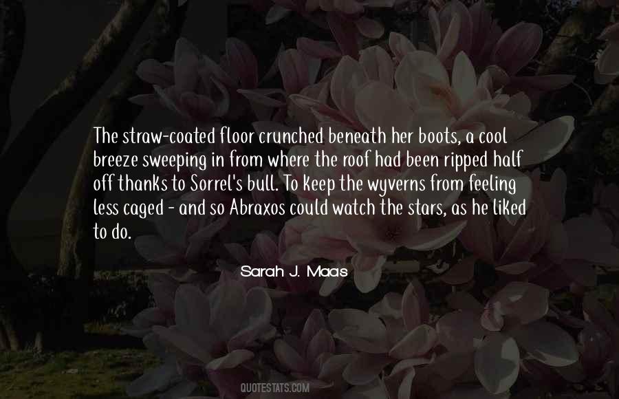 Sarah J Maas Quotes #105170