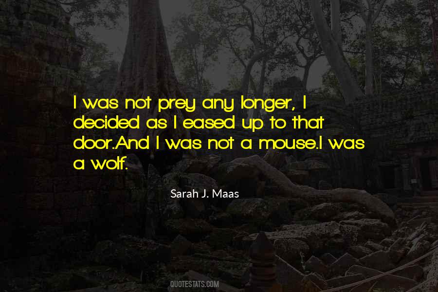 Sarah J Maas Quotes #106761