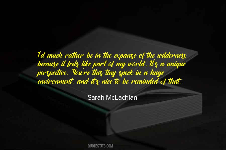 Sarah Mclachlan Quotes #1203361