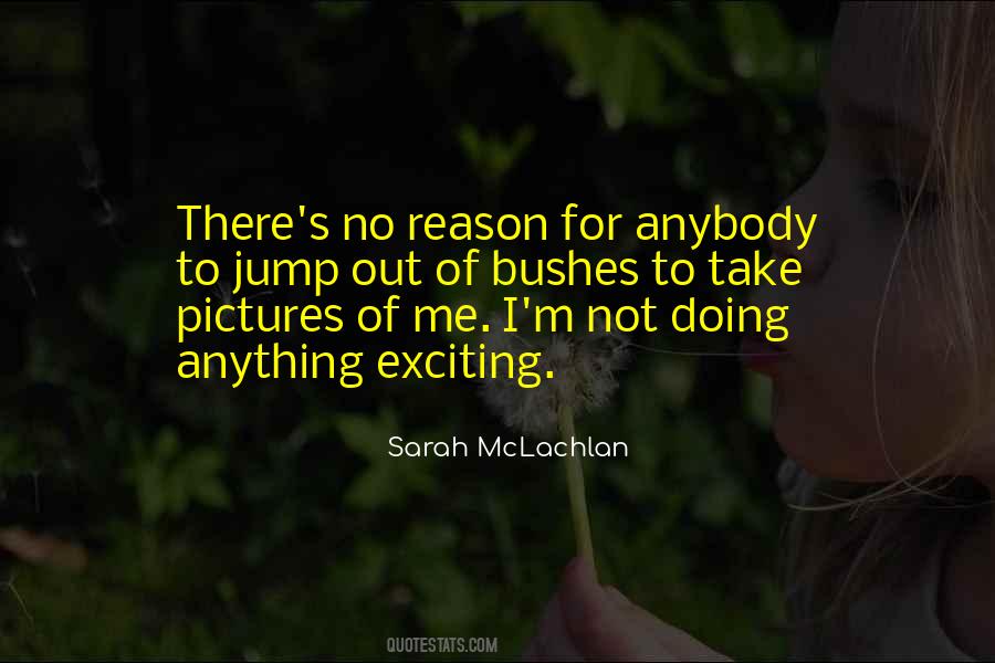 Sarah Mclachlan Quotes #591779