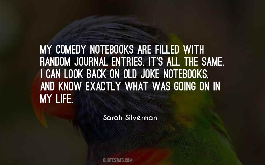 Sarah Silverman Quotes #677474