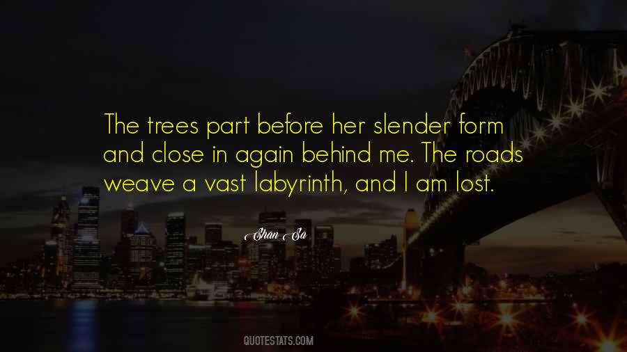 Sarah Susanka Quotes #1835910