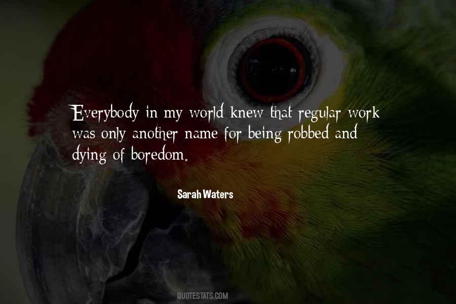 Sarah Waters Quotes #188752