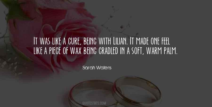 Sarah Waters Quotes #358682