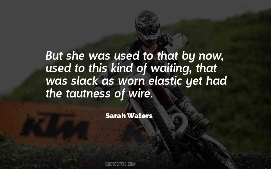 Sarah Waters Quotes #928216
