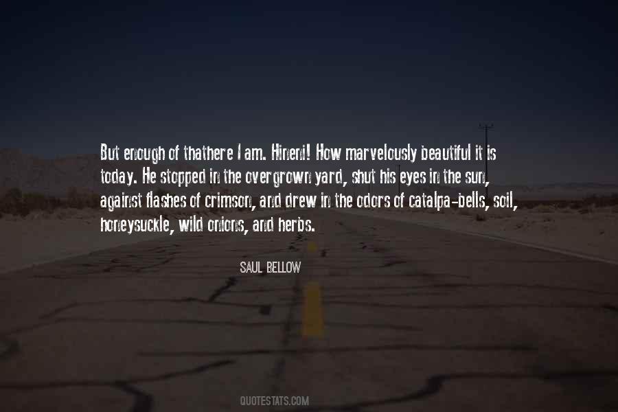 Saul Bellow Quotes #149625