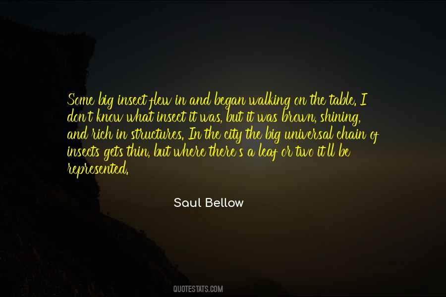 Saul Bellow Quotes #228852