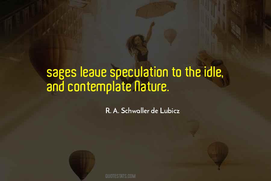 Schwaller De Lubicz Quotes #1010226
