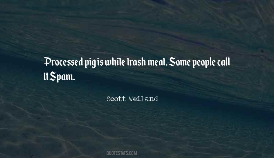 Scott Weiland Quotes #70030