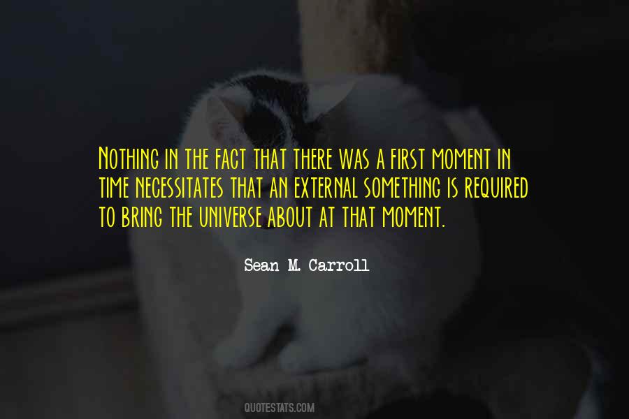 Sean Carroll Quotes #1008166