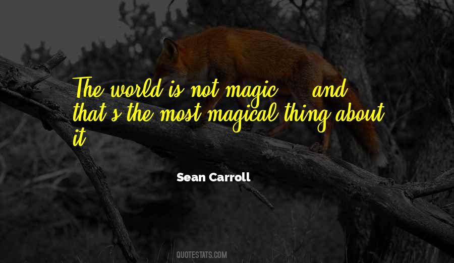 Sean Carroll Quotes #262248