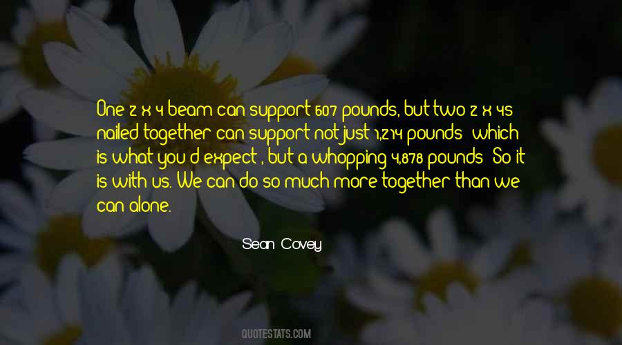 Sean Covey Quotes #455488