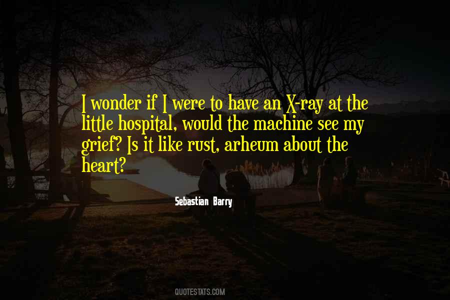 Sebastian Barry Quotes #1280175