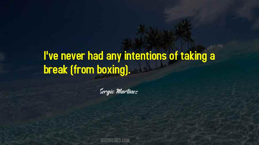 Sergio Martinez Quotes #428006