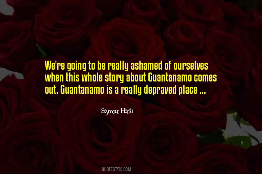 Seymour Hersh Quotes #164832
