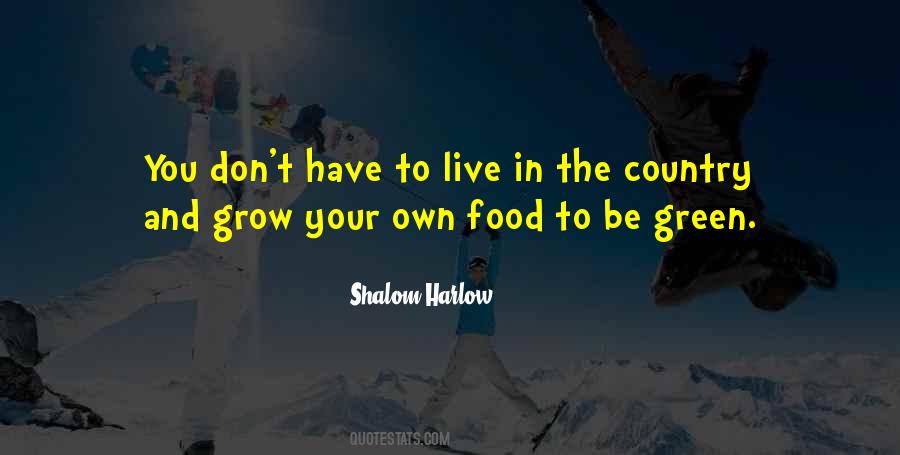 Shalom Harlow Quotes #1024532