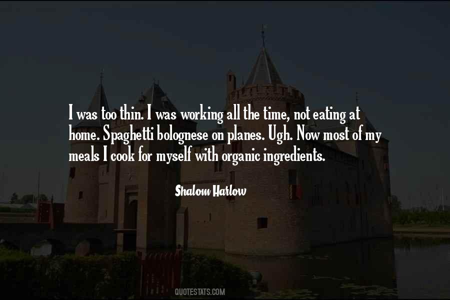 Shalom Harlow Quotes #1591301