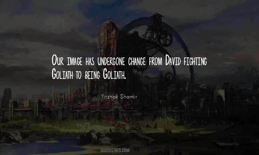 Shamir Quotes #991973