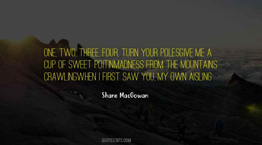 Shane Macgowan Quotes #169445