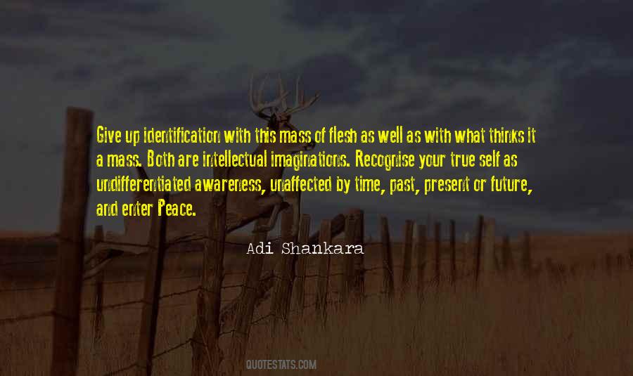 Shankara Quotes #1479337