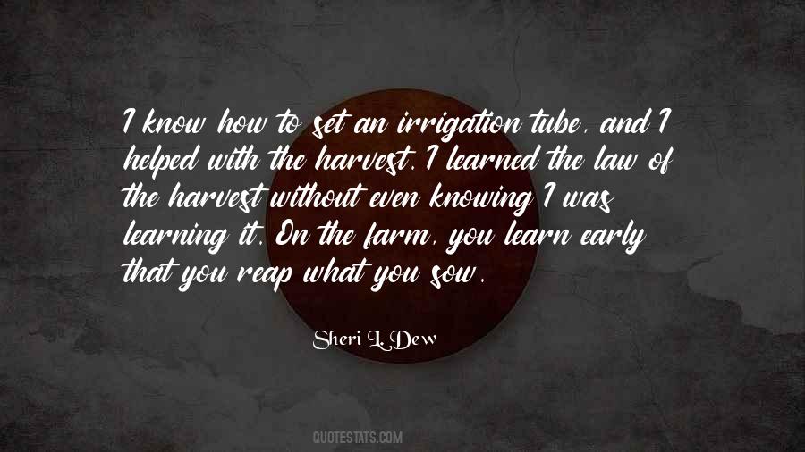 Sheri Dew Quotes #741574