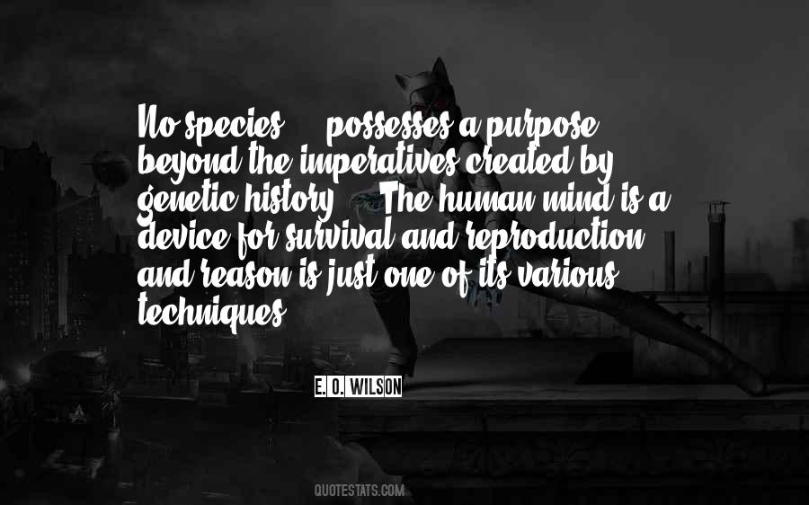Quotes About The Purpose Of History #497978