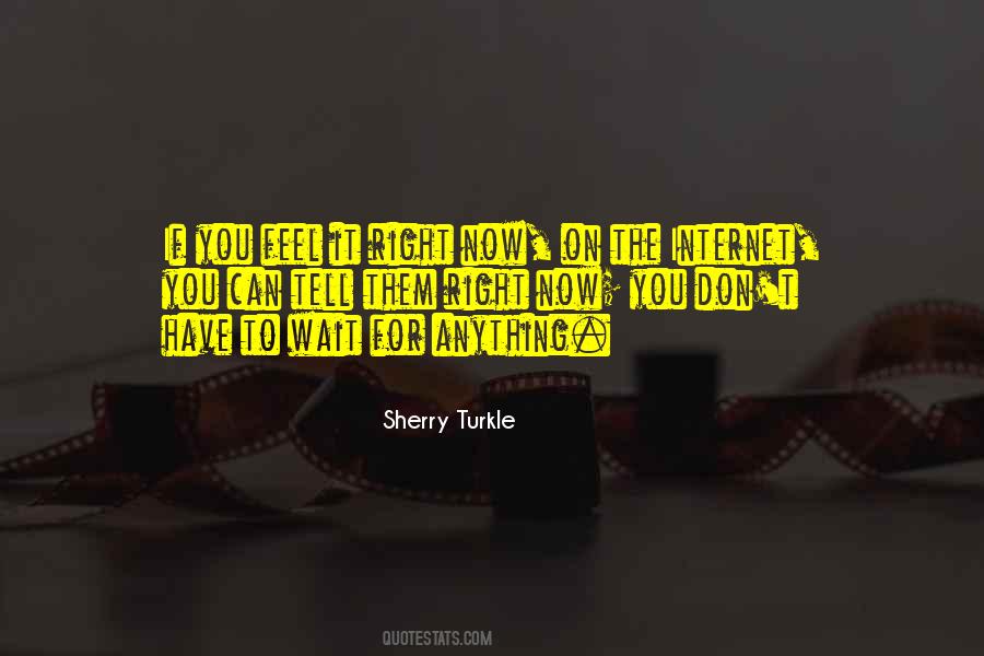 Sherry Turkle Quotes #994740