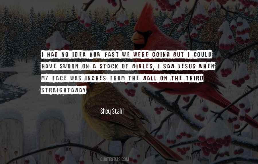 Shey Stahl Quotes #848190