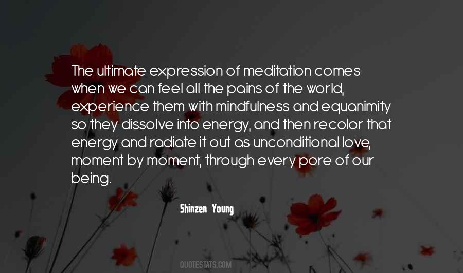 Shinzen Young Quotes #1432871