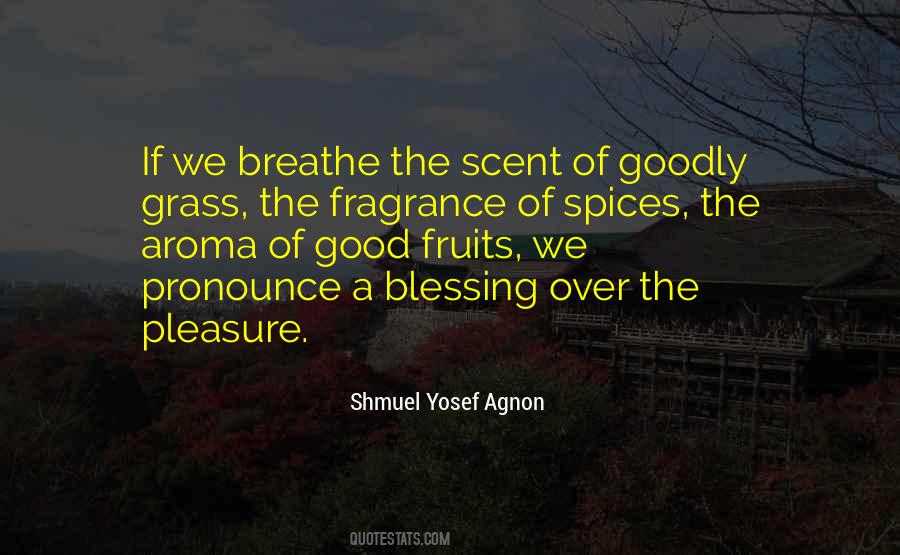 Shmuel Yosef Agnon Quotes #904052