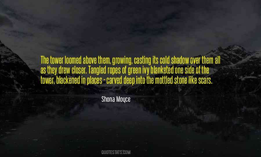 Shona Quotes #321002