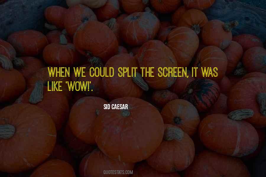 Sid Caesar Quotes #362990