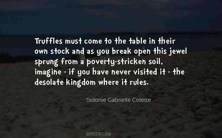 Sidonie Gabrielle Colette Quotes #1831752
