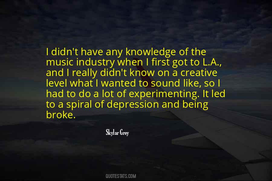 Skylar Grey Quotes #1004737