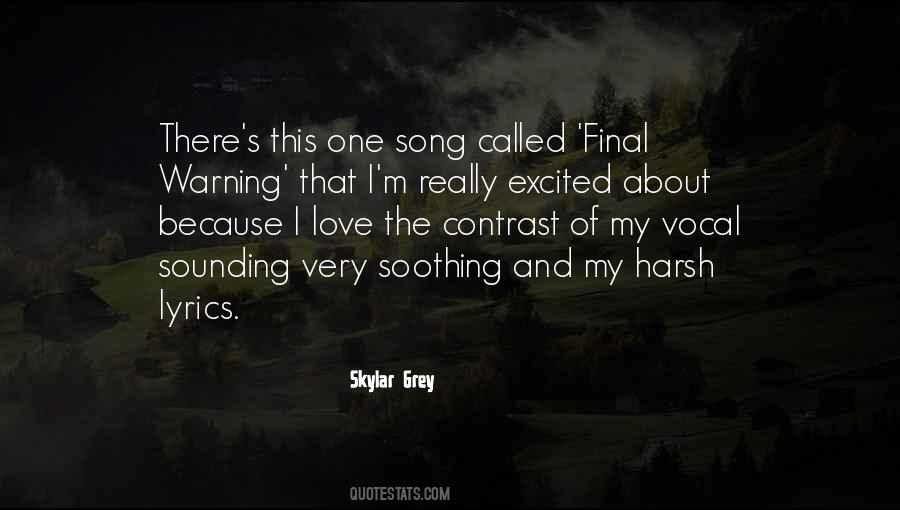 Skylar Grey Quotes #942140